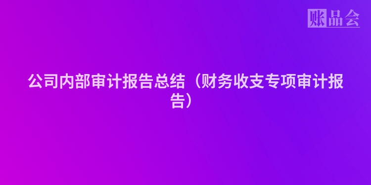 公司内部审计报告总结（财务收支专项审计报告）