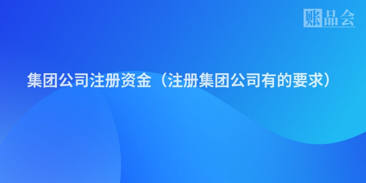 集团公司注册资金（注册集团公司有的要求）