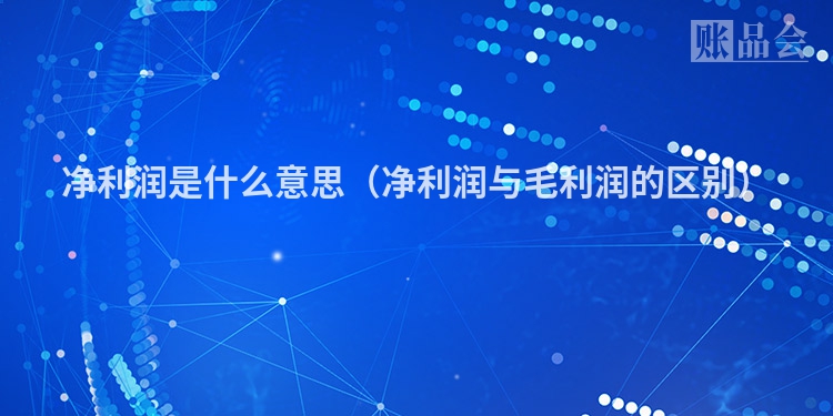 净利润是什么意思（净利润与毛利润的区别）