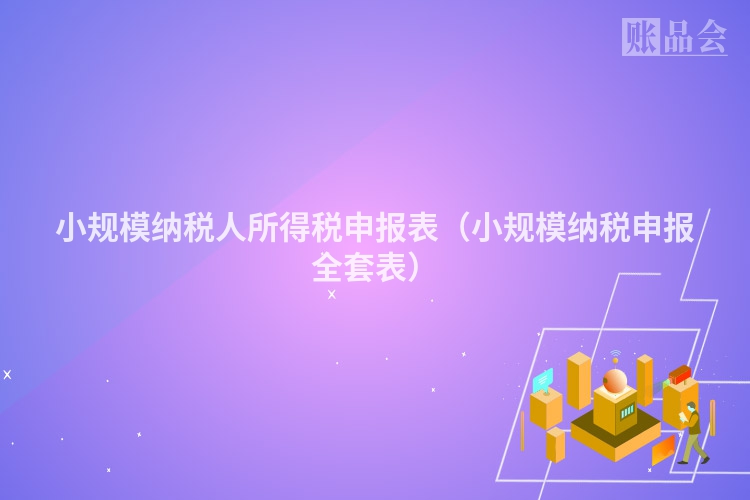 小规模纳税人所得税申报表（小规模纳税申报全套表）