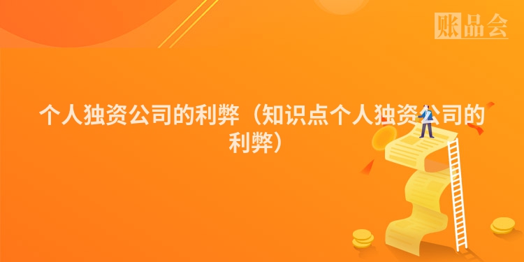 个人独资公司的利弊（知识点个人独资公司的利弊）
