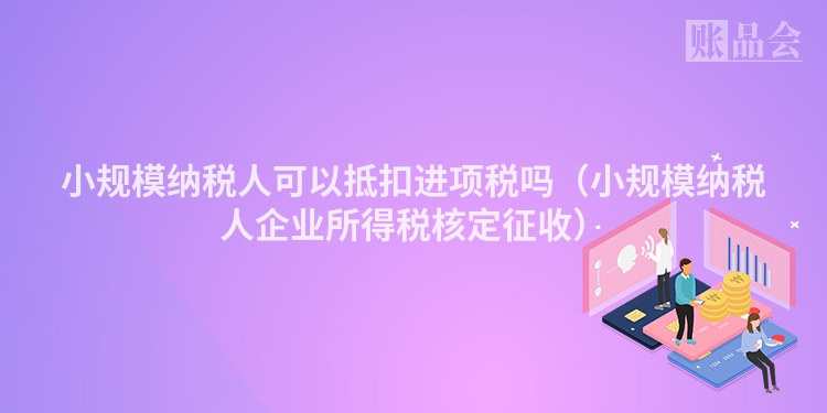 小规模纳税人可以抵扣进项税吗(小规模纳税人企业所得税核定征收)