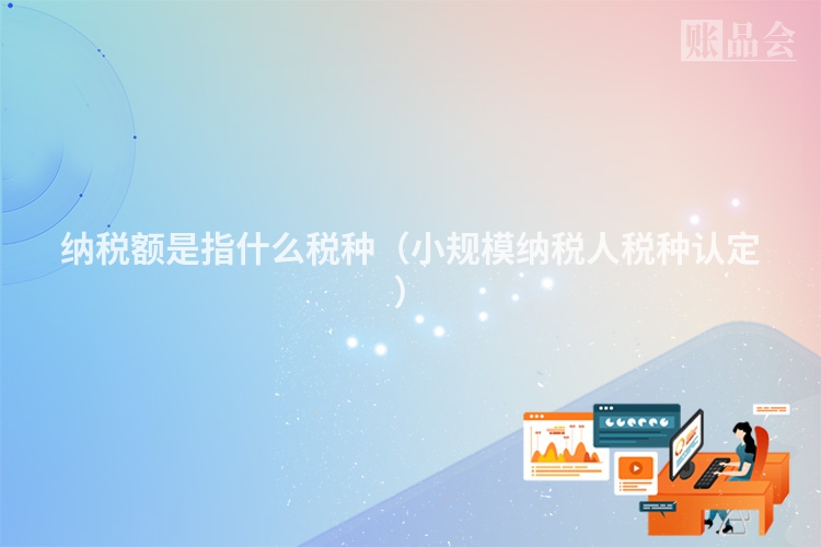 纳税额是指什么税种（小规模纳税人税种认定）