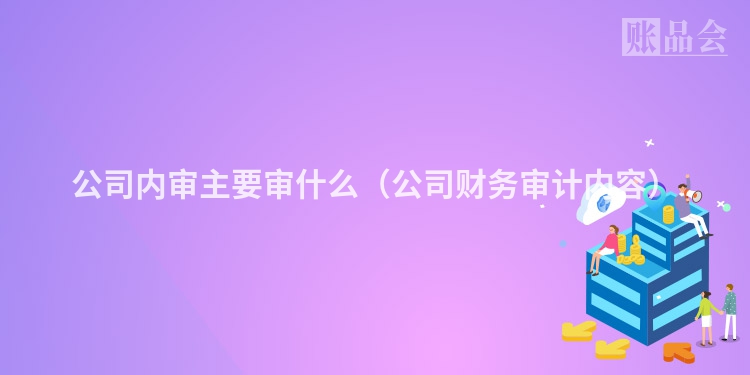 公司内审主要审什么(公司财务审计内容)