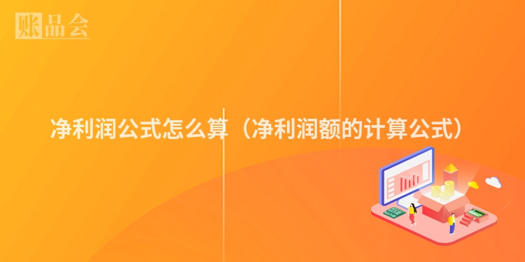 净利润公式怎么算（净利润额的计算公式）