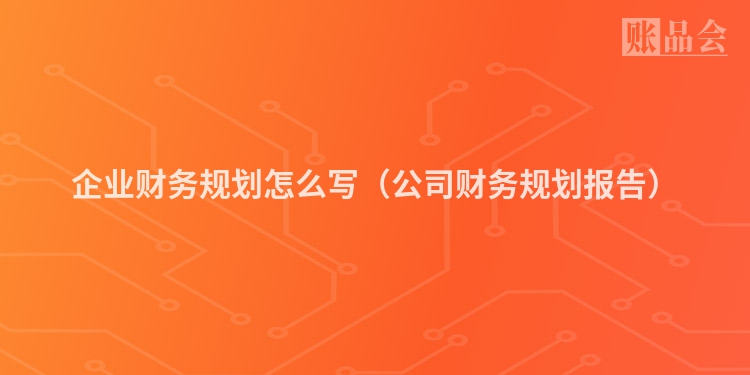 企业财务规划怎么写（公司财务规划报告）