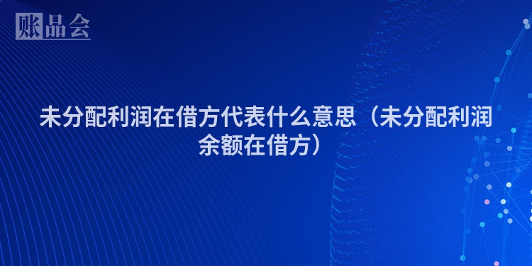 未分配利润在借方代表什么意思（未分配利润余额在借方）