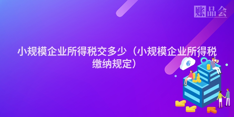小规模企业所得税交多少（小规模企业所得税缴纳规定）