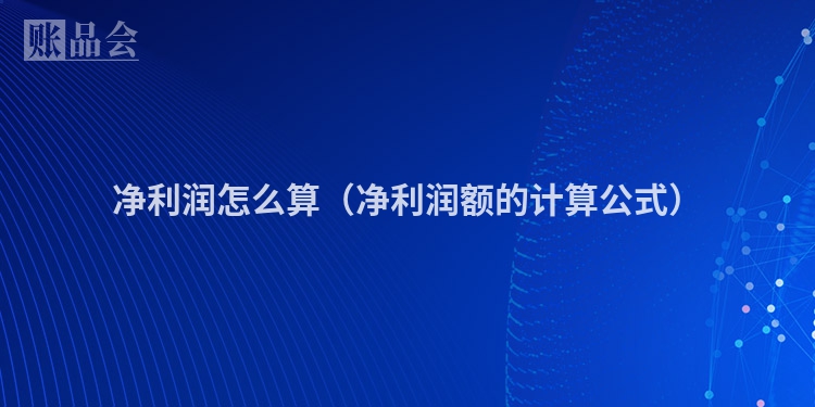 净利润怎么算（净利润额的计算公式）