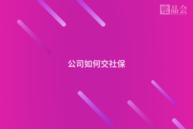 公司如何交社保