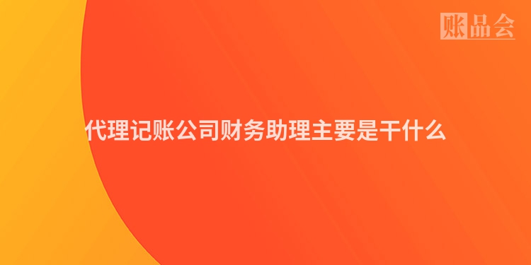 代理记账公司财务助理主要是干什么