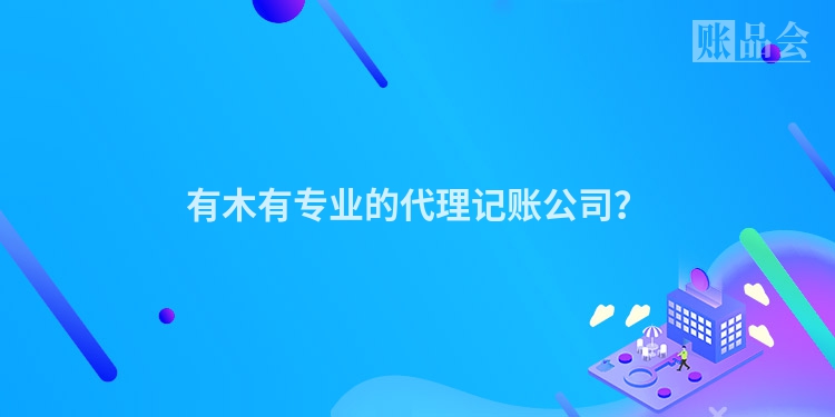 有木有专业的代理记账公司？