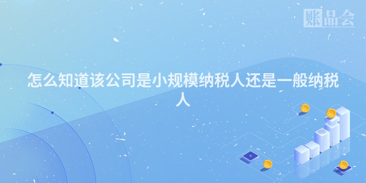 怎么知道该公司是小规模纳税人还是一般纳税人