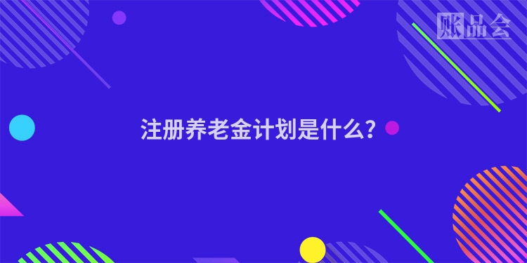 注册养老金计划是什么？