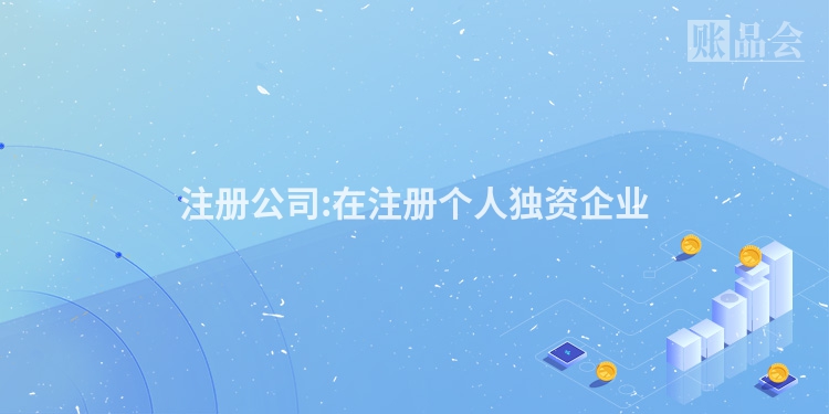 注册公司:在注册个人独资企业