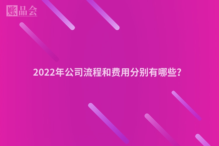 2022年公司流程和费用分别有哪些？