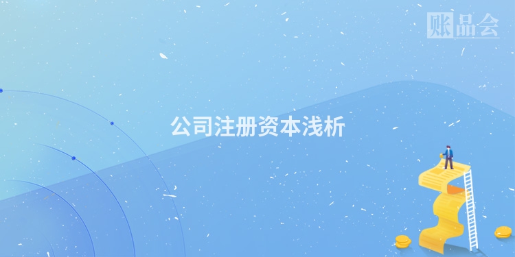 公司注册资本浅析