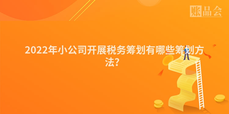 2022年小公司开展税务筹划有哪些筹划方法？