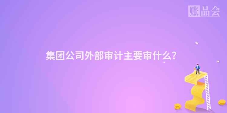 集团公司外部审计主要审什么？