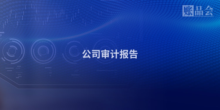 公司审计报告