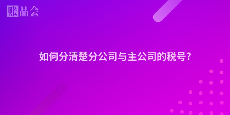 如何分清楚分公司与主公司的税号?