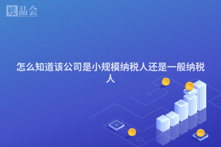 怎么知道该公司是小规模纳税人还是一般纳税人