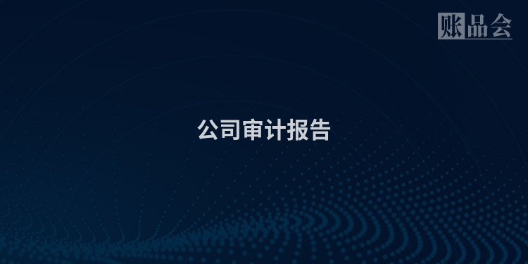 公司审计报告