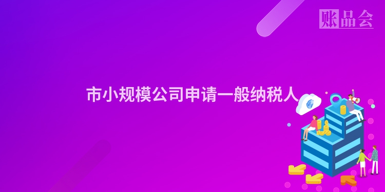市小规模公司申请一般纳税人