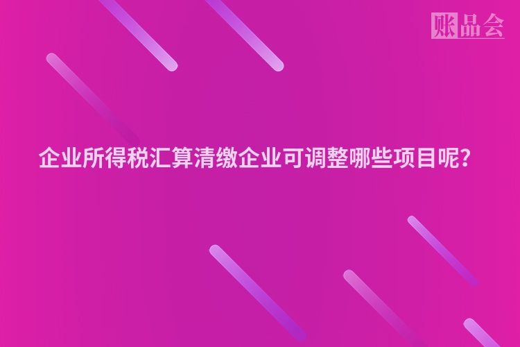 企业所得税汇算清缴企业可调整哪些项目呢？