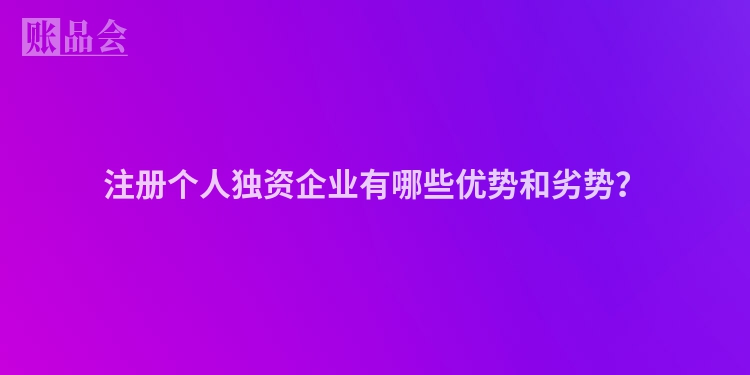 注册个人独资企业有哪些优势和劣势？