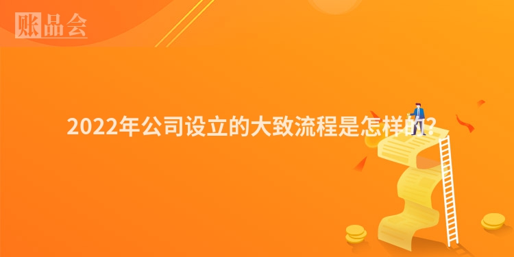 2022年公司设立的大致流程是怎样的？
