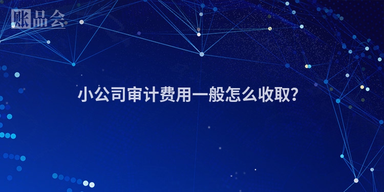 小公司审计费用一般怎么收取？