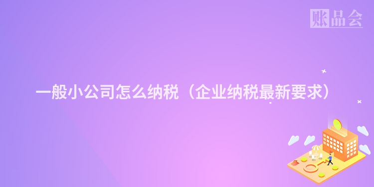 一般小公司怎么纳税(企业纳税最新要求)