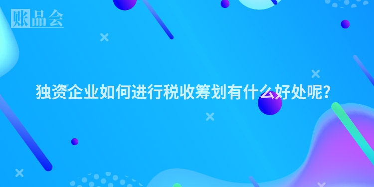 独资企业如何进行税收筹划有什么好处呢？