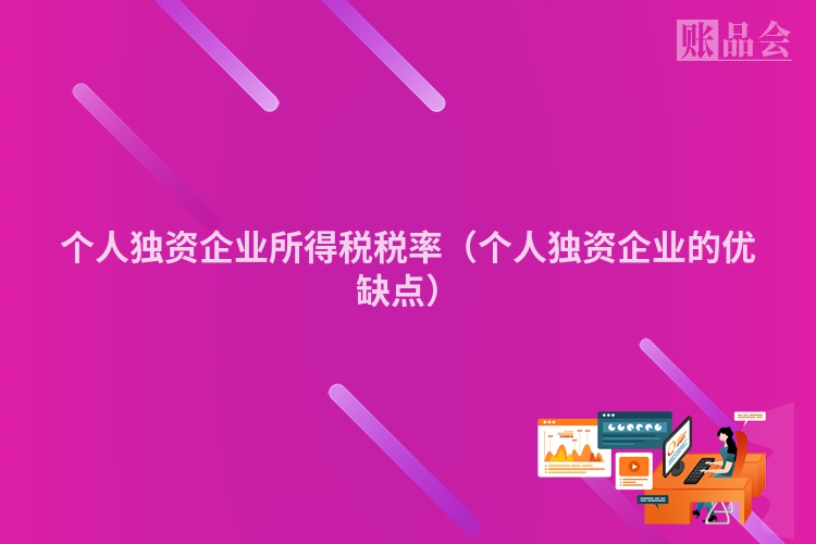 个人独资企业所得税税率（个人独资企业的优缺点）