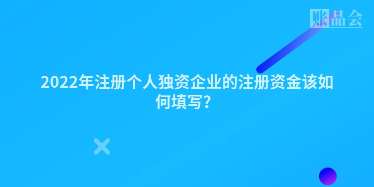 2022年注册个人独资企业的注册资金该如何填写？