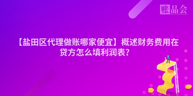 【盐田区代理做账哪家便宜】概述财务费用在贷方怎么填利润表？