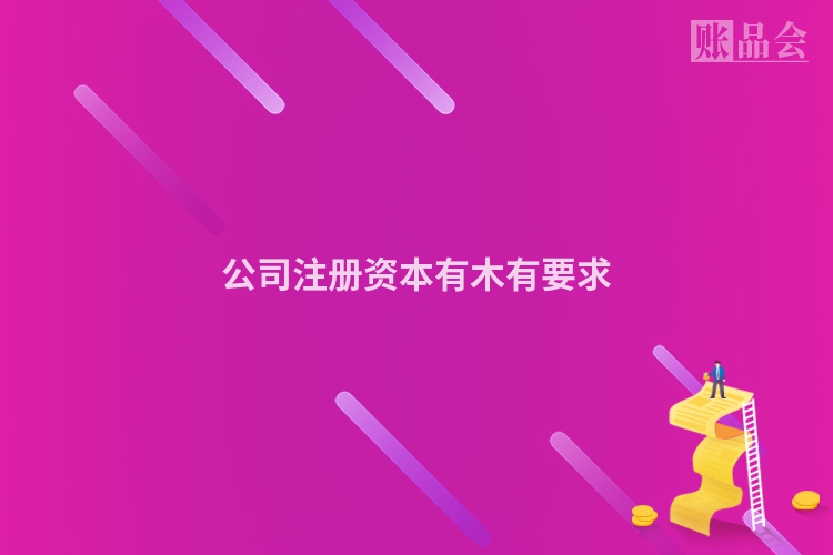 公司注册资本有木有要求