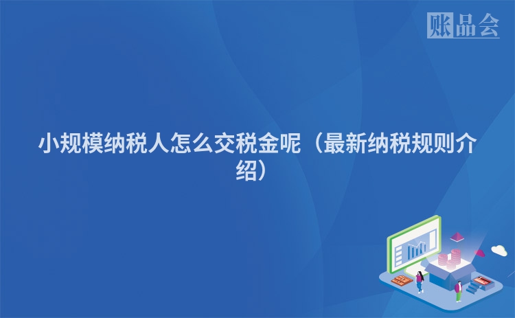小规模纳税人怎么交税金呢（最新纳税规则介绍）