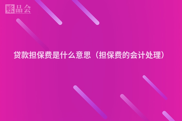 贷款担保费是什么意思（担保费的会计处理）