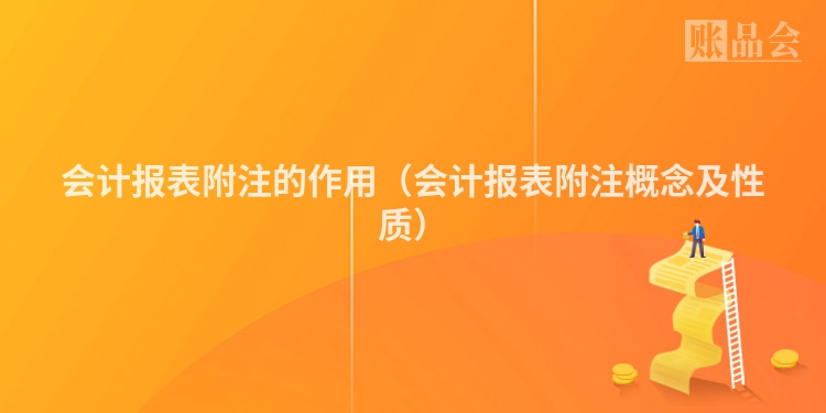 会计报表附注的作用（会计报表附注概念及性质）
