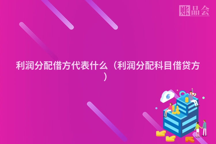 利润分配借方代表什么（利润分配科目借贷方）
