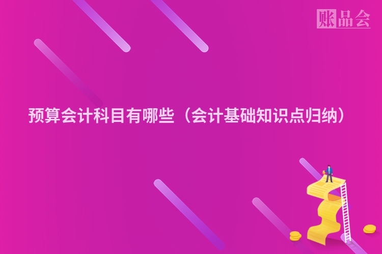 预算会计科目有哪些（会计基础知识点归纳）