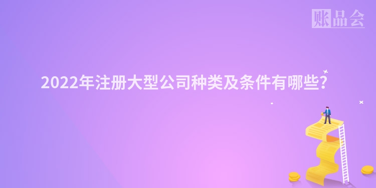 2022年注册大型公司种类及条件有哪些？