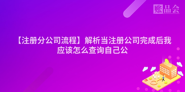 【注册分公司流程】解析当注册公司完成后我应该怎么查询自己公