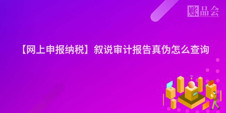 【网上申报纳税】叙说审计报告真伪怎么查询