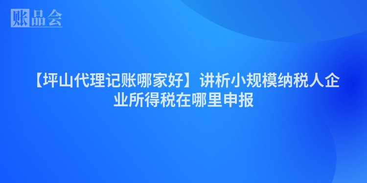 【坪山代理记账哪家好】讲析小规模纳税人企业所得税在哪里申报