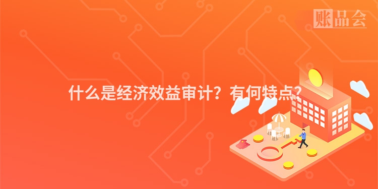 什么是经济效益审计？有何特点？