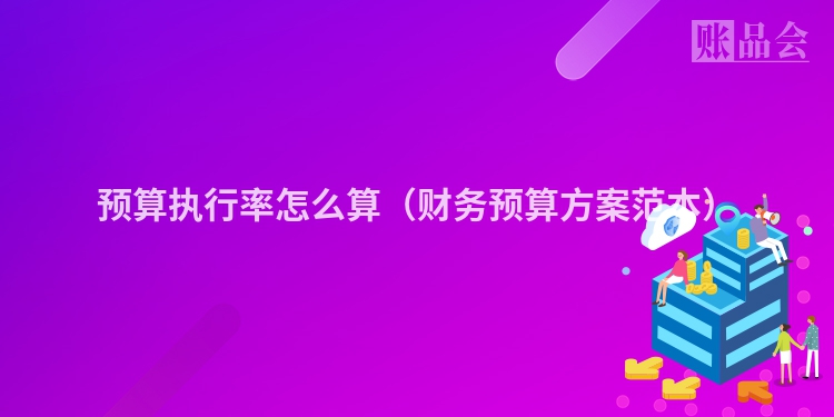 预算执行率怎么算（财务预算方案范本）