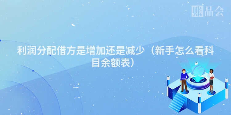 利润分配借方是增加还是减少（新手怎么看科目余额表）